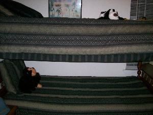 A Gift of Organizing