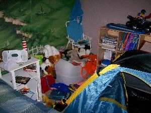 A Gift of Organizing