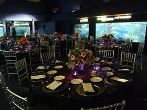 Aquaria World of Fishes