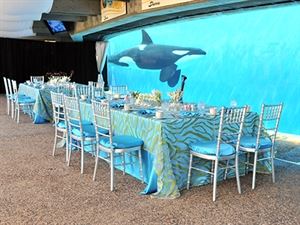 Shamu’s Underwater Viewing