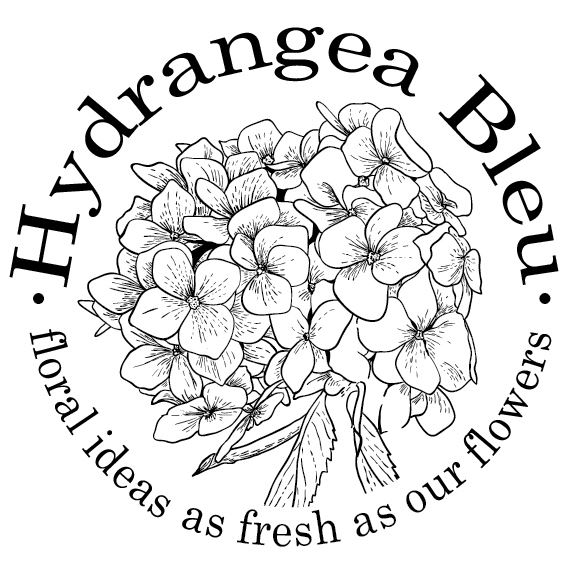 Hydrangea Bleu