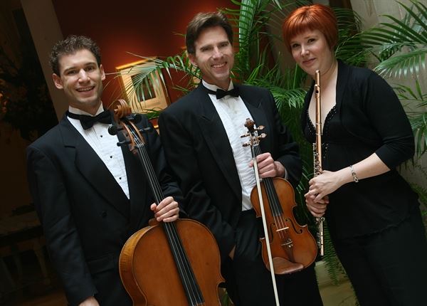 Classical Sounds Entertainment Agency