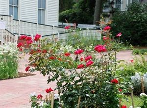 1897 Poe House Gardens