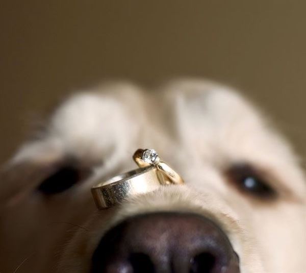 Crystal Graham Photography