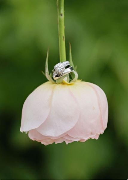 Crystal Graham Photography