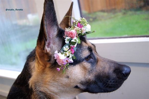 Floretta Flower Studio& Crafts