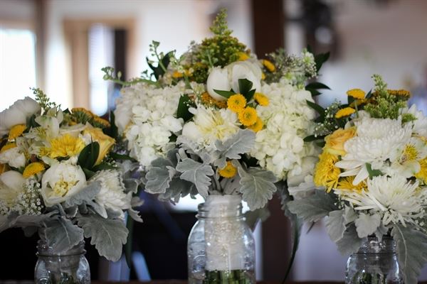 Kandi Daniel Studios