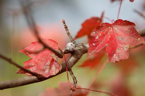 Kandi Daniel Studios