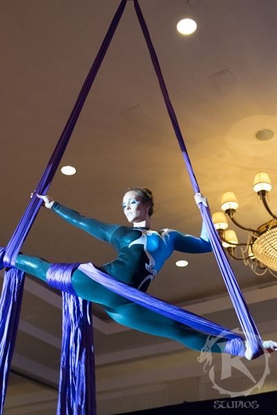 Airotique Aerial Dance Company