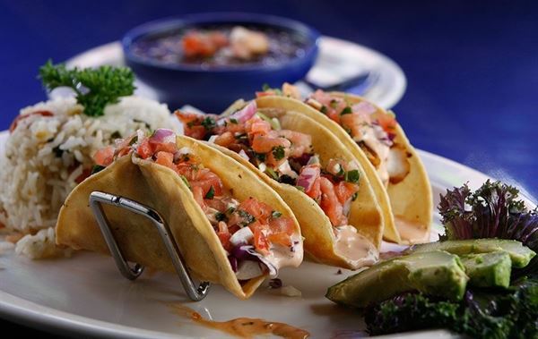 Rio Mambo Arlington Catering