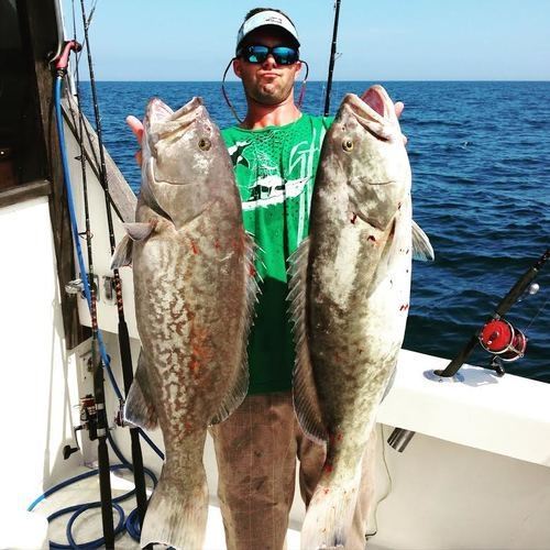 Drop Down Sport Fish Charters