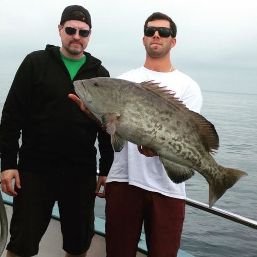 Drop Down Sport Fish Charters