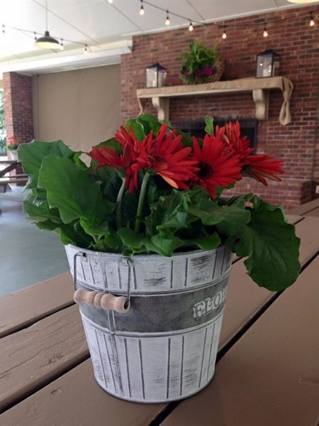 Etowah Valley Golf Club