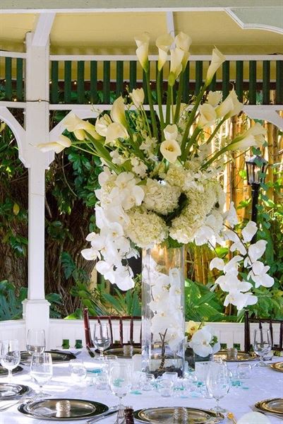 Lush Celebrations at Field of Flowers