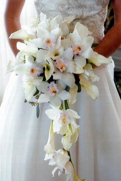 Lush Celebrations at Field of Flowers