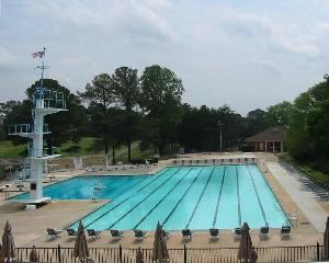 Olympic Size Pool and Cabana