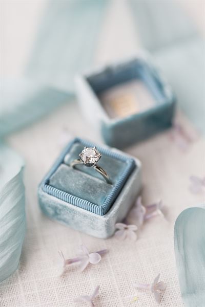 Joleen Willis Photography