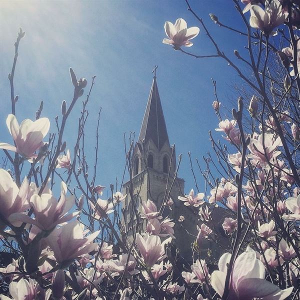 The Gardens Wedding Center