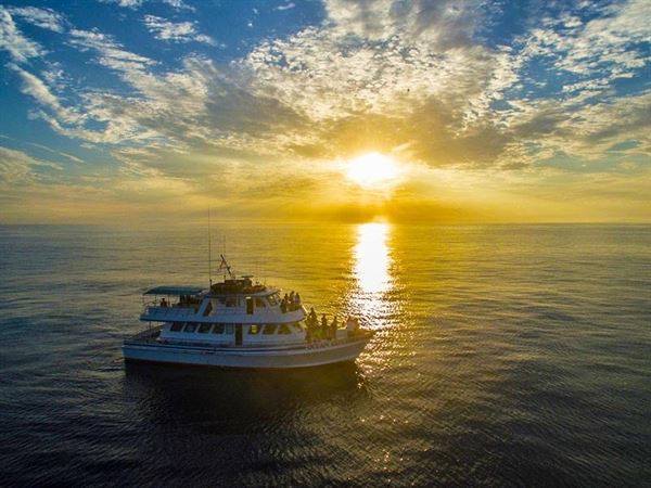 Cruise Newport Beach-Yacht Rentals
