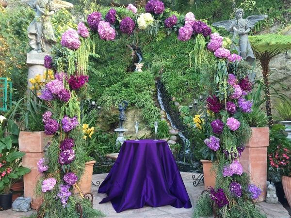 Vision Into Reality Events