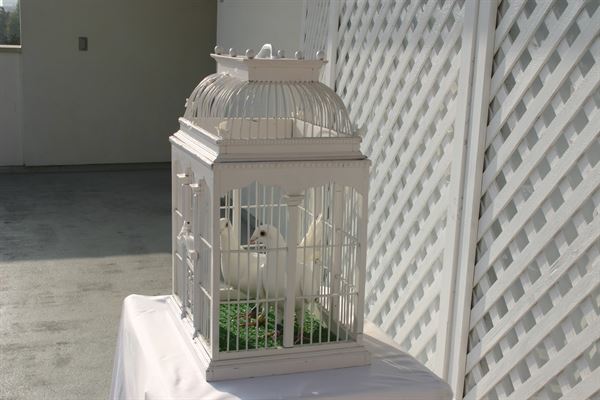 Vision Into Reality Events