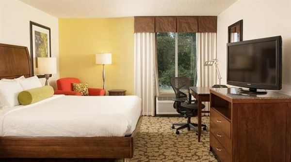 Hilton Garden Inn Orlando Airport