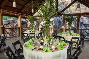 Rainforest Stilt House