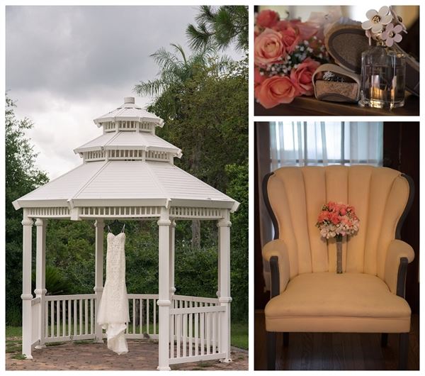 Branches of Life Photography