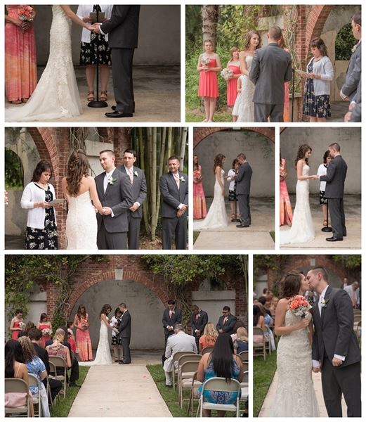 Branches of Life Photography