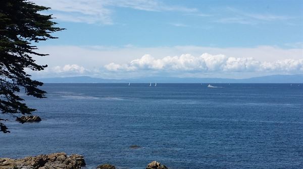 Martine Inn A Monterey Bay Bed & Breakfast