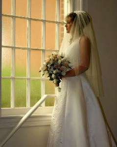 Susan Carlson, Photographer