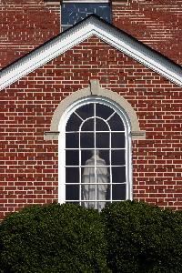 Susan Carlson, Photographer