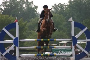 Susan Carlson, Photographer