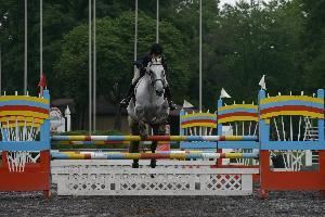 Susan Carlson, Photographer