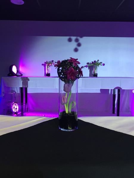 Double D Event Planning & Coordinators