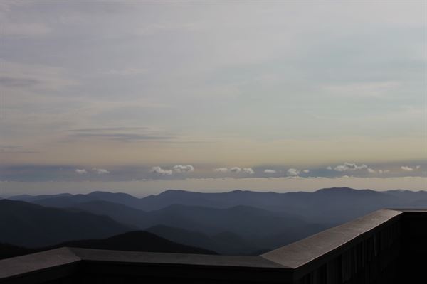 Sweet Grass Weddings