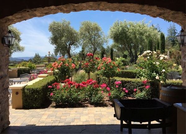 Regale Winery and Vineyards