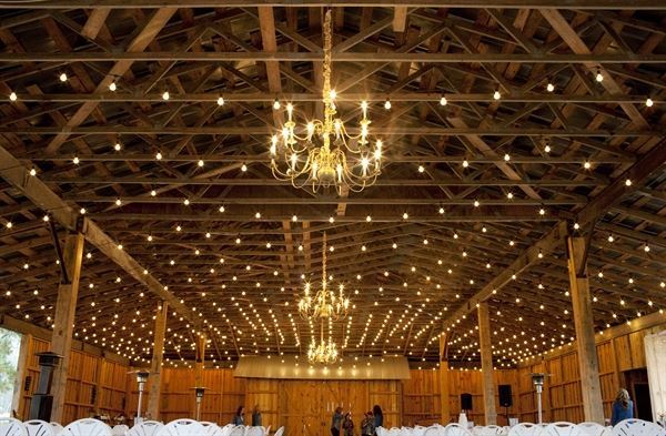 Thompson Family Farm