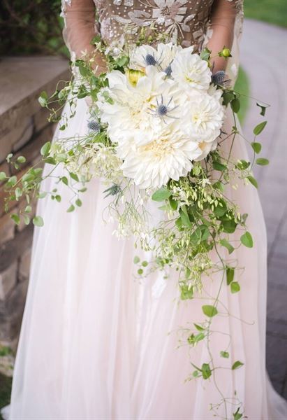 Kreative Beginnings Photography