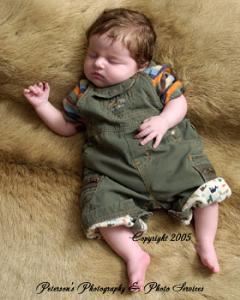 Petersons Photography and Photo Services