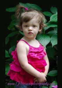 Petersons Photography and Photo Services