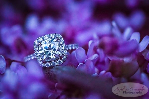 Angelica Criscuolo Photography