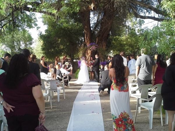 Valley Garden Center