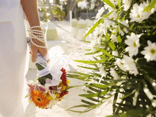 Charlie's Angels Photography LLC