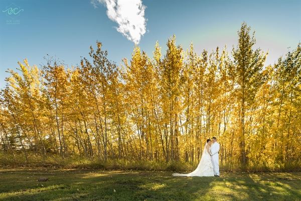 Box Cube Photography