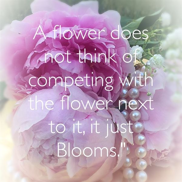 Pearl's Tea & Company