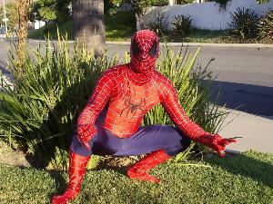 Always Just For Fun Entertainment