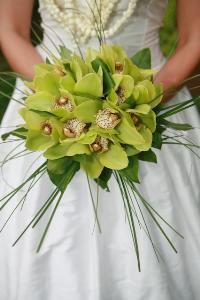 Creative Video & Photo Concepts