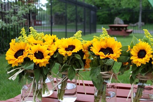 Carousel for All Children