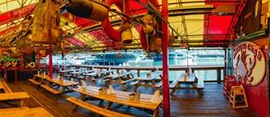 Open Year Round Tent